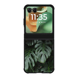 monstera Z8003 Motorola Moto RAZR 2025 Case