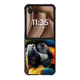Tropical Parrot Motorola Moto RAZR Plus 2025 Case FE0631