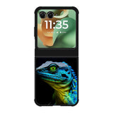 agamid lizards Motorola Moto RAZR 2025 Case FE0017