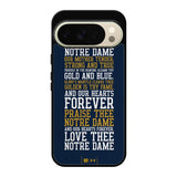 Notre Dame Football X02250 Google Pixel 10 Pro Case