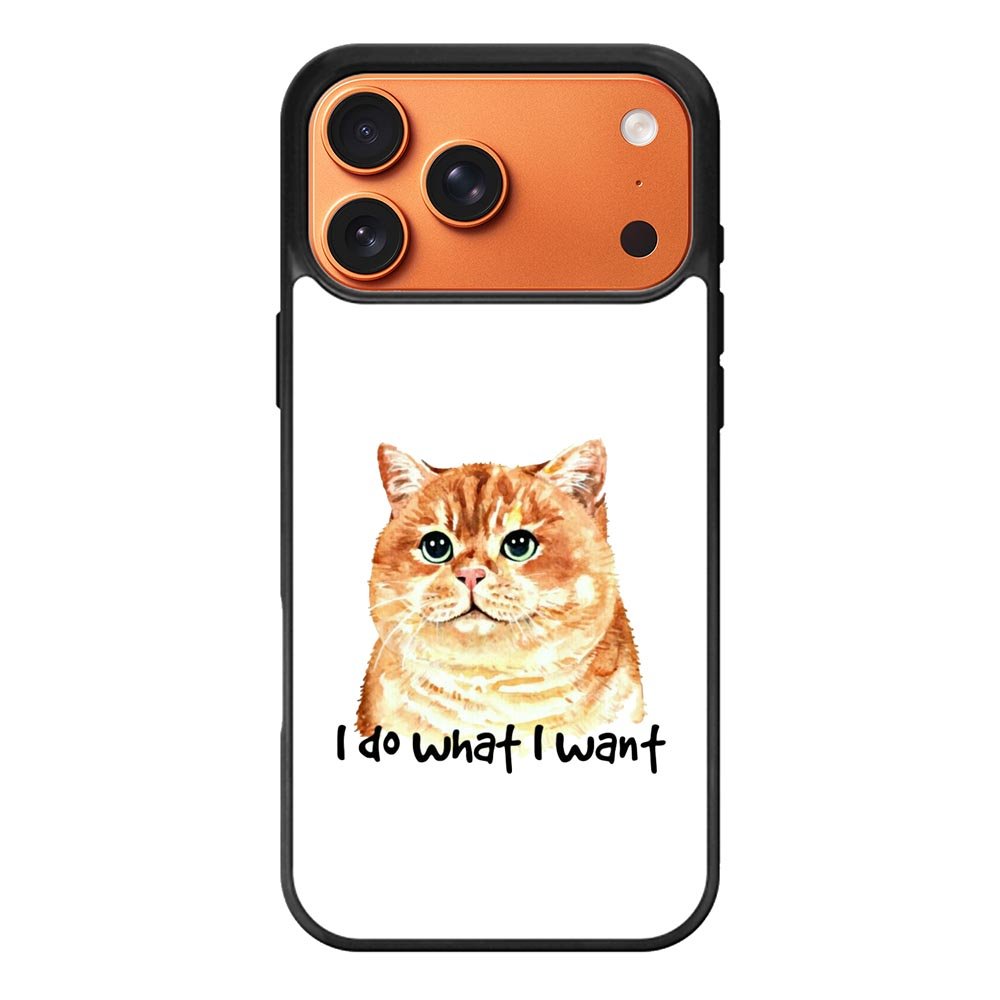 I do what what iPhone 17 Pro Case FE0362