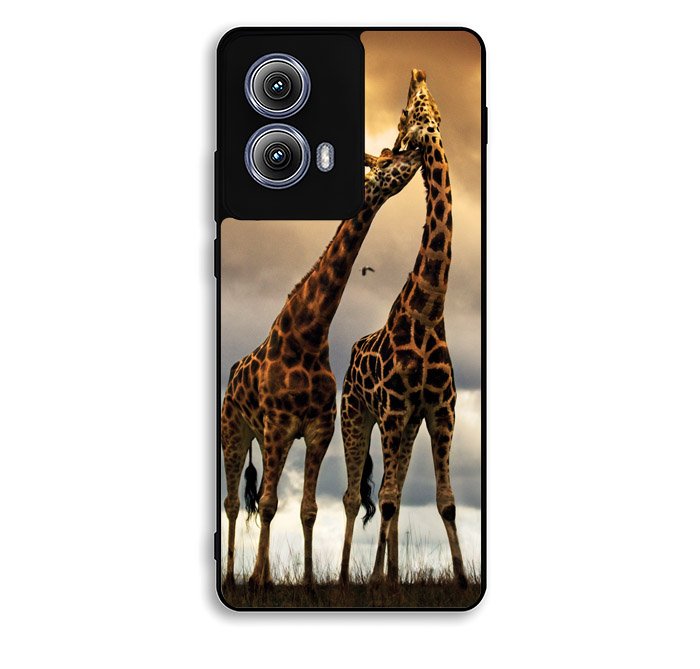 giraffes photography Motorola Moto Edge 2024 Case FE1512