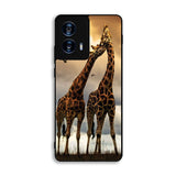 giraffes photography Motorola Moto G Power 5G 2024 Case FE3646