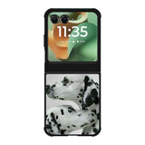 Dalmatian Dog FMotorola Moto RAZR 2025 Case FE0202