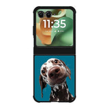 Hi Dog FMotorola Moto RAZR 2025 Case FE0356