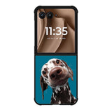 Hi Dog FMotorola Moto RAZR Plus 2025 Case FE0356
