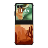 Cactus Paint Motorola Moto RAZR 2025 Case FE0128