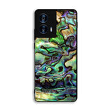 Green Abalone Motorola Moto G Power 5G 2024 Case FE2907