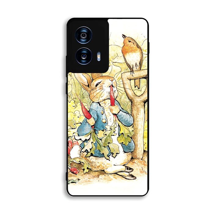 Beatrix Potter Peter Rabbit Motorola Moto G Power 5G 2024 Case FE5268