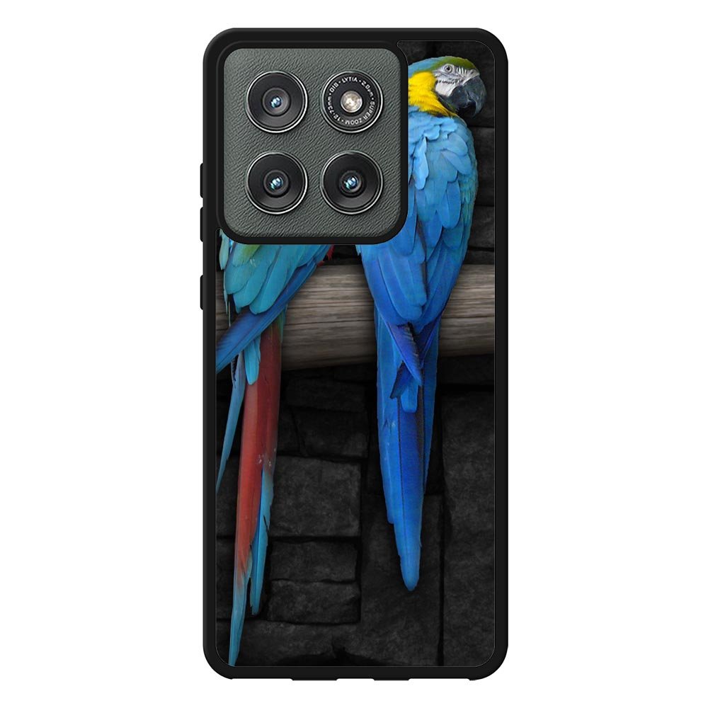 Cute Couple of Birds Parrot Pair Couple Animal Bird Motorola Moto Edge 2025 Case