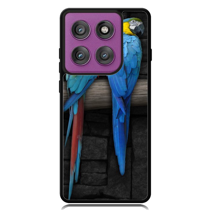 Cute Couple of Birds Parrot Pair Couple Animal Bird Motorola Moto Edge 2025 | Moto Edge 60 Fusion | Moto Edge 60 Pro Case