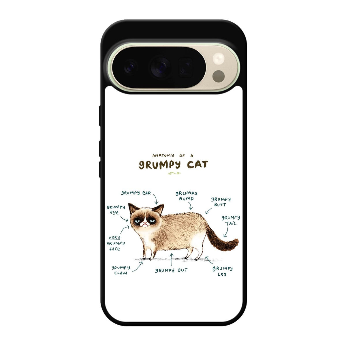 Anatomy Of A Grumpy Kitty X5744 Google Pixel 10 Pro Case