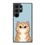 Face cat FE0153 Samsung Galaxy S25 Ultra Case