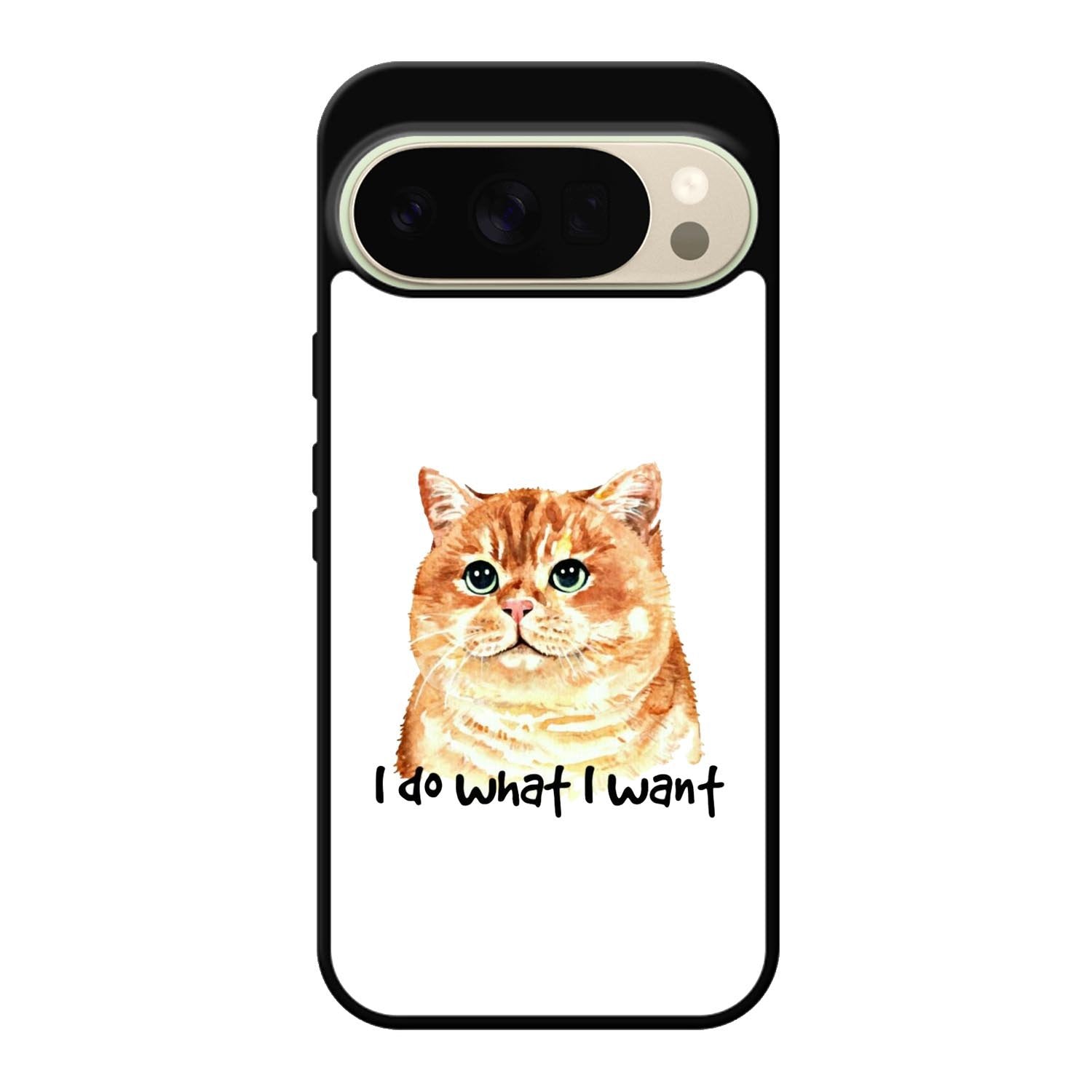 I do what what Google Pixel 10 Pro XL Case FE0362