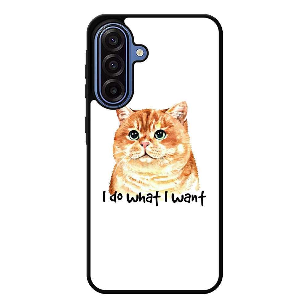 I do what what Samsung Galaxy A17 Case FE0362