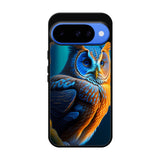 Blue Owl FGoogle Pixel 10 Case FE0111