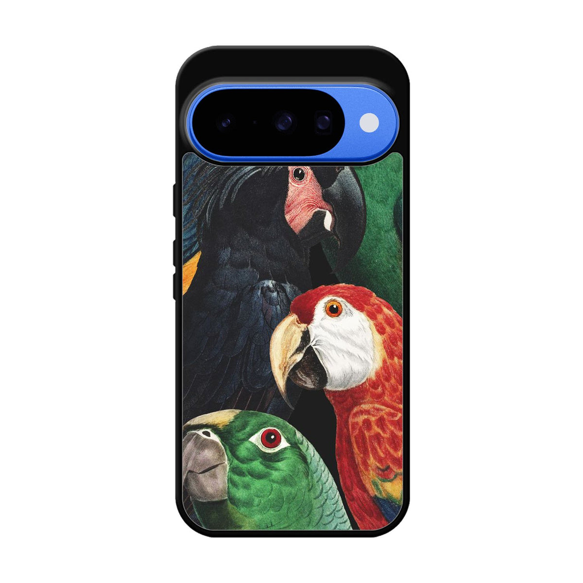 Parrot Pattern FGoogle Pixel 10 Case FE0485