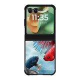 Blue Red Fish FMotorola Moto RAZR 2025 Case FE0112