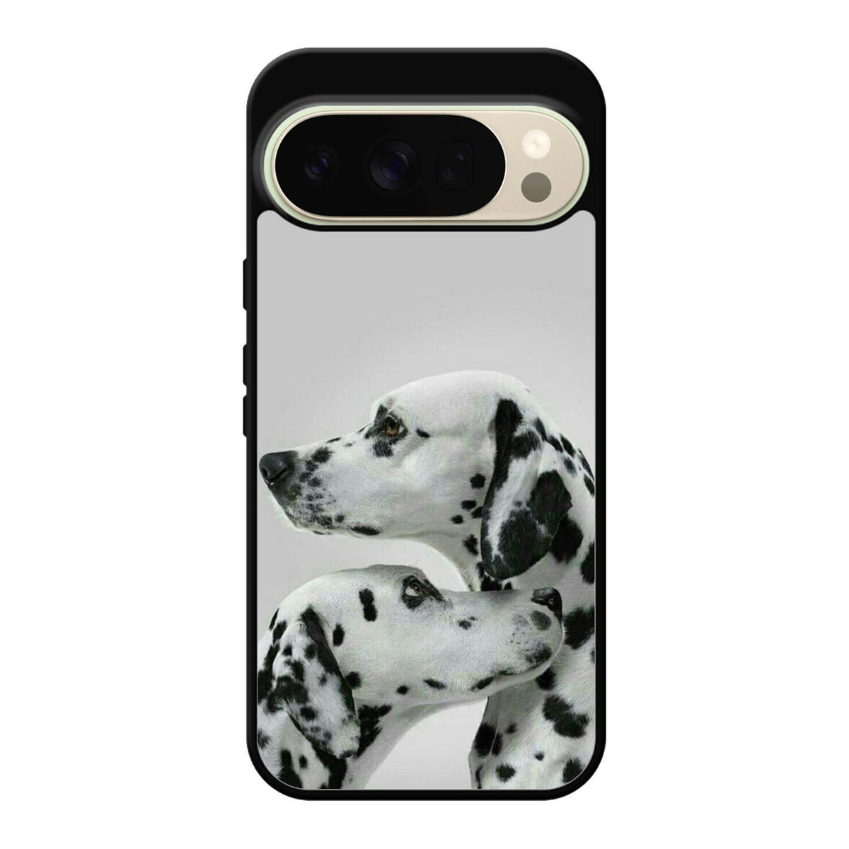 Dalmatian Dog FGoogle Pixel 10 Pro Case FE0202