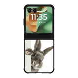 Peek a Boo Rabbit FMotorola Moto RAZR 2025 Case FE0496