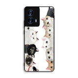Cat Community Motorola Moto G Power 5G 2024 Case FE6767